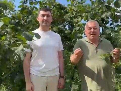 Img